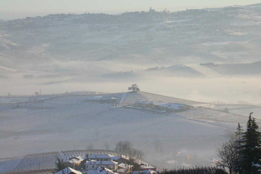 Cascina Rocca Agriturismo B&B La Morra Bagian luar foto